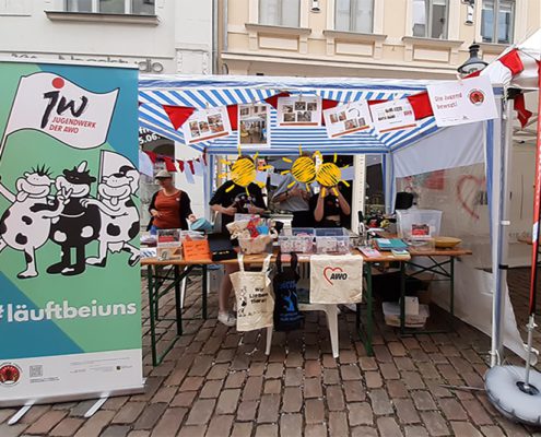 Projektpräsentation Beim Bergstadtfest 2022