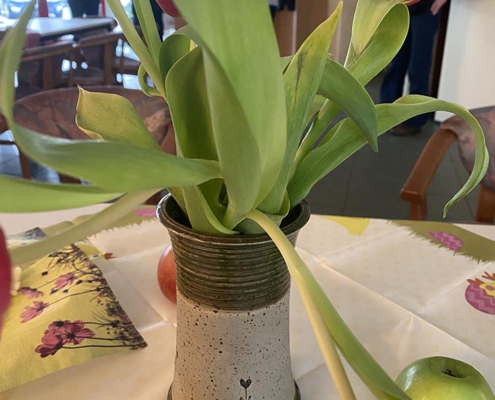 Präsvention SPFH Beratungsstelle 168