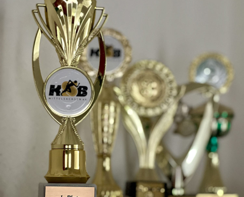 Kita Cup 2024 Bergstadtzwerge 372 Web