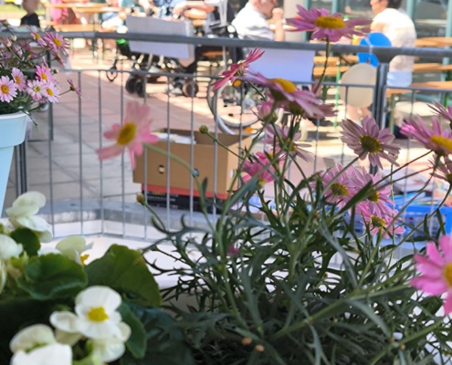 Stadtteilfest Flöha 202520250613 0029