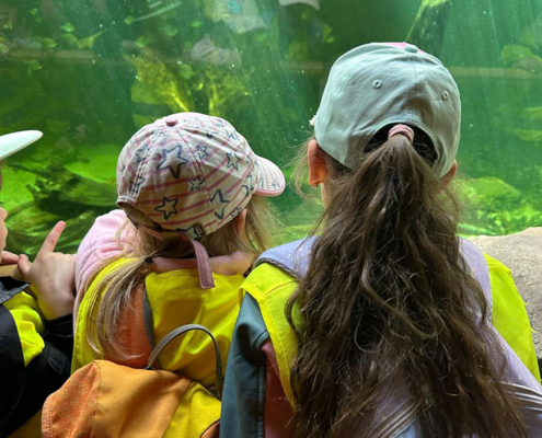 Tierpark Bergstadtzwerge 4