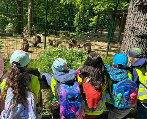 Tierpark Bergstadtzwerge 5